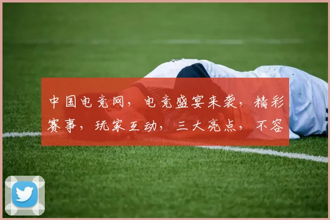 中国电竞网，电竞盛宴来袭，精彩赛事，玩家互动，三大亮点，不容错过
